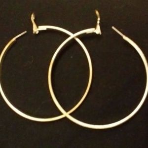 Silver Hoop Earrings